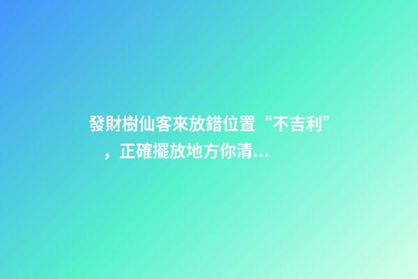 發財樹仙客來放錯位置“不吉利”，正確擺放地方你清楚嗎？